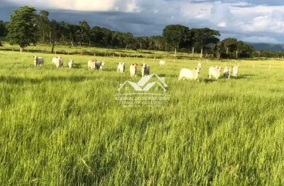 Fazenda à venda no Raizama, Cuiabá 