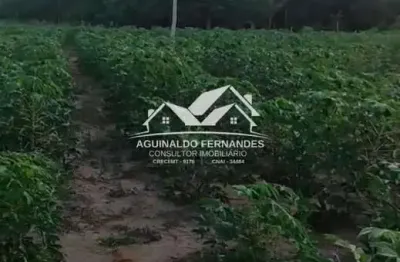 Chácara / sítio à venda na Zona Rural, Santo Antônio do Leverger 
