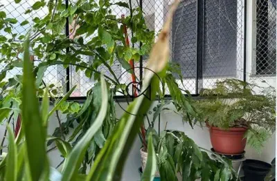 Apartamento à venda na vila romana - sp - 3 suítes e 4 vagas, 173 m2