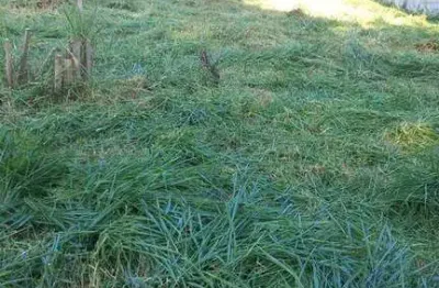 Terreno à venda 1000 m² R$ 1.500.000 - Chácara Malota - Jundiaí/SP