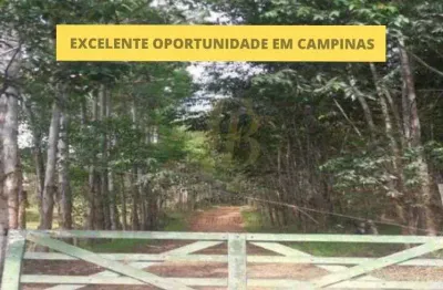 Terreno à venda na Rua dos Ulmeiros, Bairro das Palmeiras, Campinas
