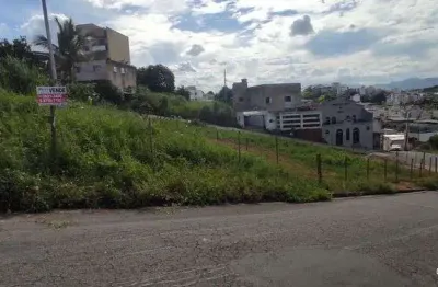 Lote bairro cidade nova, cód. l102, 360 m² (12x25), devidamente registrado. região de ipa