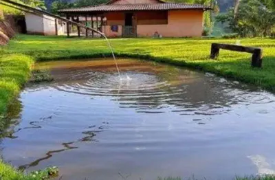 Sítio em antônio dias. cód. s004. pomar, curral, jardim, piscina e várias nascentes.