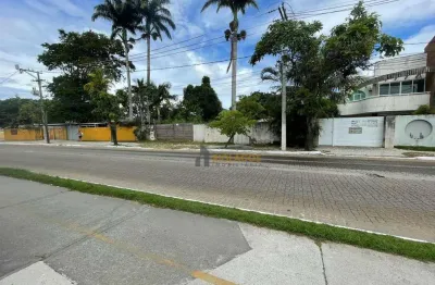 Terreno à venda, 960 m² por r$ 2.300.000,00 - palmeiras - cabo frio/rj