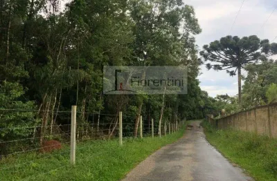 Terreno à venda na Abilio Constantino Da Rocha, 15, Roseira, São José dos Pinhais