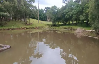 Área rural para moradia ou lazer - campo largo da roseira - venda total/parcial