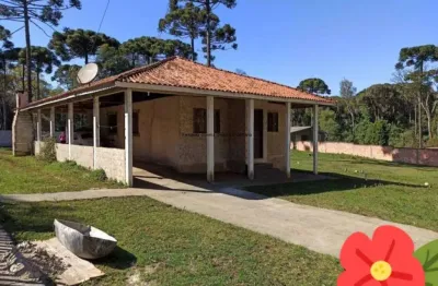 Chácara / sítio com 4 quartos à venda na Travessa Dalei Pissaia, s/n, Campina do Taquaral, São José dos Pinhais