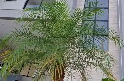 Sobrado com 3 quartos - condomínio residencial foggiatto