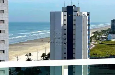 Apartamento com 2 quartos, Mirim, Praia Grande - R$ 460 mil, Cod: 1049
