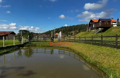 Chácara / sítio com 2 quartos à venda na geral papagaios, 22, centro, canelinha por r$ 750.000