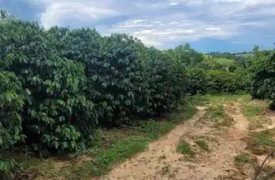 Chácara / sítio com 2 quartos à venda no Morro Torto, Indaiatuba 