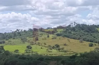Terreno à venda - 48 tarefas / excelente localização / próximo à pista