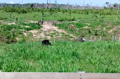 Amazonas área de 91,2 hectares 38 alqueires curuquetê am para pecuária
