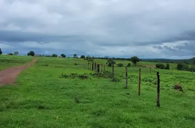 Niquelandia colinas do sul fazenda dupla aptidâo 1700 hectares