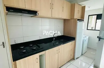 Apartamento para alugar no bairro ilha da figueira - jaraguá do sul/sc