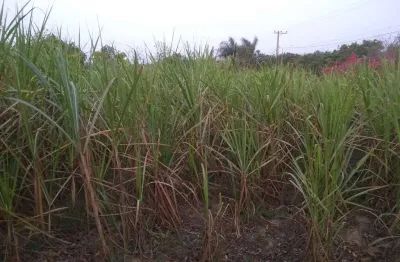 Chácara / sítio com 2 quartos à venda na rua rural, zona rural, capela do alto por r$ 550.000