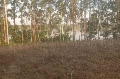 Chácara / sítio à venda na rural, 02, zona rural, barão de antonina por r$ 95.000