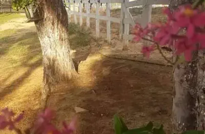 Chácara / sítio com 2 quartos à venda na vicinal, 1020, centro, riversul por r$ 480.000
