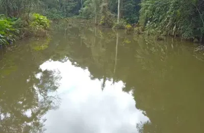 Chácara / sítio com 2 quartos à venda na vicinal, parurú, ibiúna por r$ 900.000