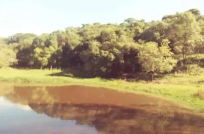 Chácara / sítio à venda na zona rural, capela do alto  por r$ 1.300.000
