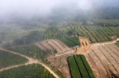 Chácara / sítio à venda na 9 km da pista bairro ibaitinga, zona rural, são miguel arcanjo por r$ 2.500.000