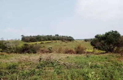 Chácara / sítio à venda na sitio em carlópolis, 01, zona rural, carlópolis por r$ 1.600.000
