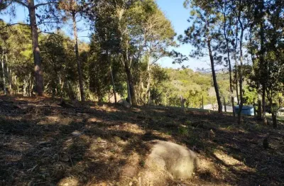 Chácara / sítio à venda na vicinal, 6, campo verde, ibiúna por r$ 159.000