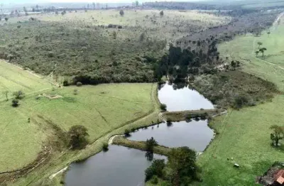 Fazenda à venda na km 183 da rodovia castelo branco, 9999, zona rural, bofete por r$ 50.000.000