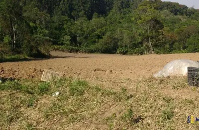 Chácara / sítio à venda na do turvinho, 22233, turvinho, piedade por r$ 240.000