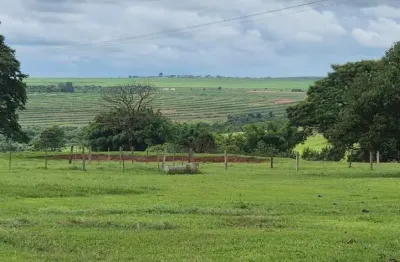 Fazenda à venda na km 04  - raposo tavares, 99999, zona rural, martinópolis por r$ 16.000.000