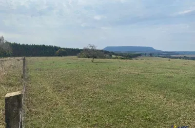 Fazenda à venda na domiciano de souza, 8888, capela velha, guareí por r$ 7.500.000