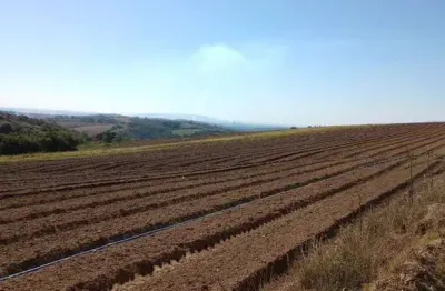Chácara / sítio à venda na rural, 9988, zona rural, piedade por r$ 3.000.000