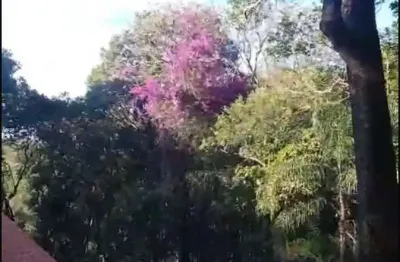 Chácara / sítio à venda na do campo verde, 9999, campo verde, ibiúna por r$ 265.000