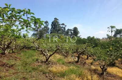 Fazenda à venda na dezidério bernardinetti, s/n°, reforma agrária, valinhos, 350 m2 por r$ 1.870.000