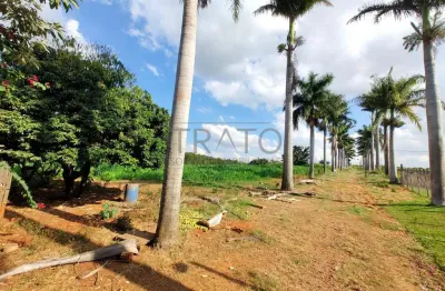 Terreno em condomínio fechado à venda na estrada municipal adelina segantini cerqueira leite, s/n°, chácara são rafael, campinas por r$ 26.000.000