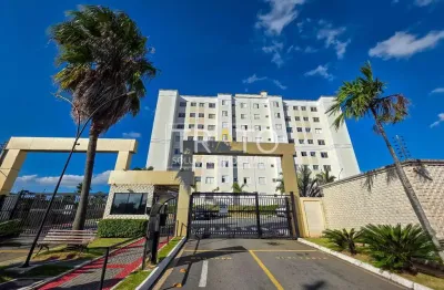 Apartamento com 2 quartos para alugar na Rua Doutor Oswaldo Adib Abib, 473, Jardim Antonio Von Zuben, Campinas, 55 m2 por R$ 2.500