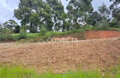 Terreno à venda no Laranjeiras de Caldas, Caldas 