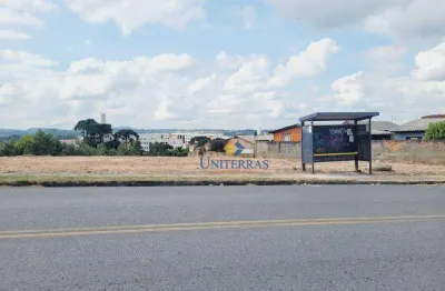 Terreno, 1050 m² - venda por r$ 950.000 ou aluguel por r$ 2.700/mês - campina do arruda - almirante tamandaré/pr