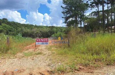 Chácara à venda, 4000 m² por r$ 235.000,00 - são dimas - colombo/pr