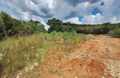 Chácara à venda, 4000 m² por r$ 235.000,00 - são dimas - colombo/pr