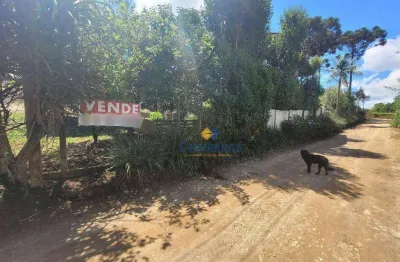 Terreno à venda, 300 m² por r$ 145.000 - são gabriel - colombo/pr