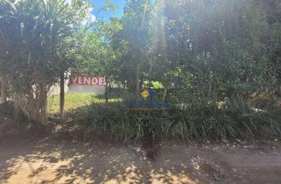 Terreno à venda, 300 m² por r$ 145.000 - são gabriel - colombo/pr