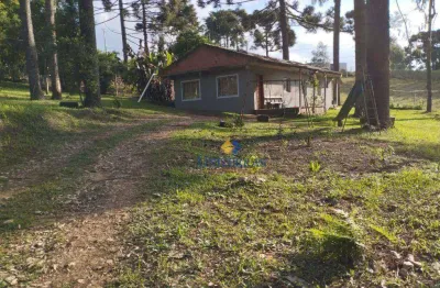 Chácara com 3 dormitórios à venda, 1000 m² por r$ 180.000,00 - saltinho - campina grande do sul/pr