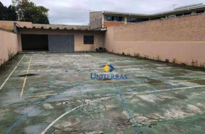 Terreno para alugar, 440 m² por r$ 3.000/mês - pinheirinho - curitiba/pr