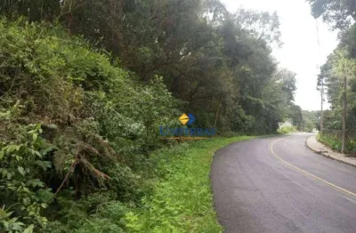 Terreno à venda, 20000 m² por r$ 1.700.000,00 - ferraria - campo largo/pr