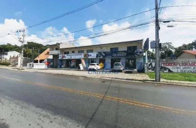 Terreno à venda, 2976 m² por r$ 2.990.000,00 - são gabriel - colombo/pr