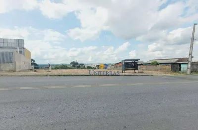 Terreno, 1050 m² - venda por r$ 950.000 ou aluguel por r$ 2.700/mês - campina do arruda - almirante tamandaré/pr