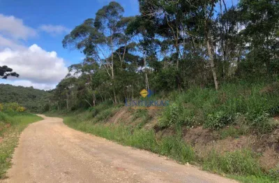 Terreno à venda, 525484m² por r$ 2.390.000 - centro - bocaiúva do sul/pr