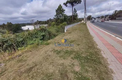 Terreno à venda, 7862 m² por r$ 5.000.000,00 - parque do embu - colombo/pr