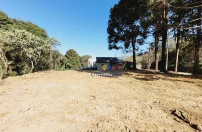 Terreno à venda, 182 m² por r$ 99.000,00 - parque do embu - colombo/pr